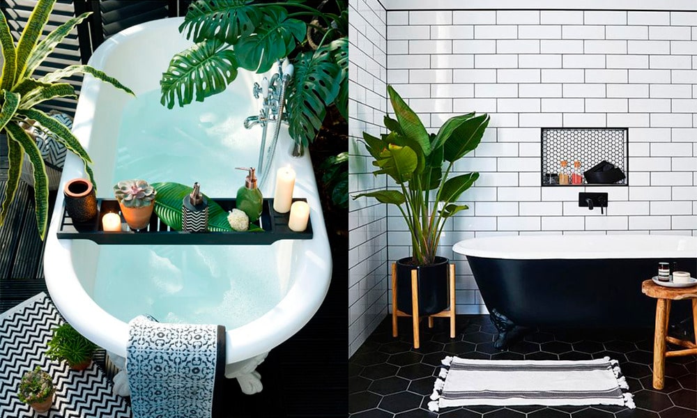 Decorar el baño con plantas