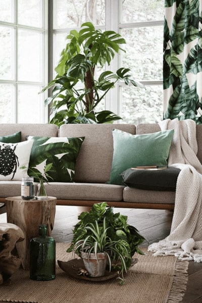 Combinar decoración con plantas