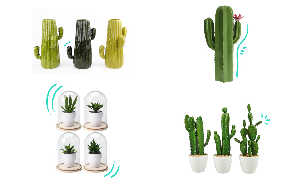 Plena Naturaleza Surtido Cactus Conforama practicar yoga en casa