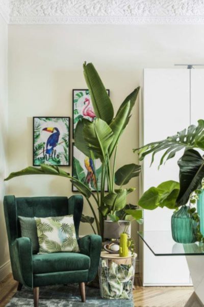Un sillón de terciopelo verde, como el YASMÍN, es siempre un acierto cómo cambiar un salon clasico en moderno