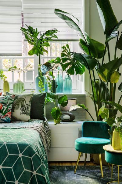 Cualquier rincón es bueno para decorarlo con plantas. Con unos simples cuidados las tendrás siempre fabulosas cuidado de las plantas