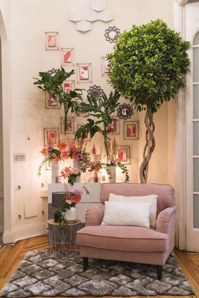 Las plantas en la entrada son el mejor recibimiento y la mejor despedida que pueden tener tus invitados cuidado de las plantas