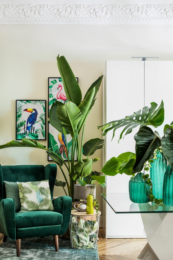 Surtido jarrón JUNGLE de estilo exotic decorar habitacion con fotos