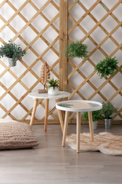decorar salon con plantas