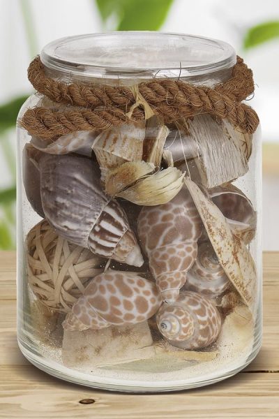 como hacer un mini jardin - Conforama como hacer un mini jardin